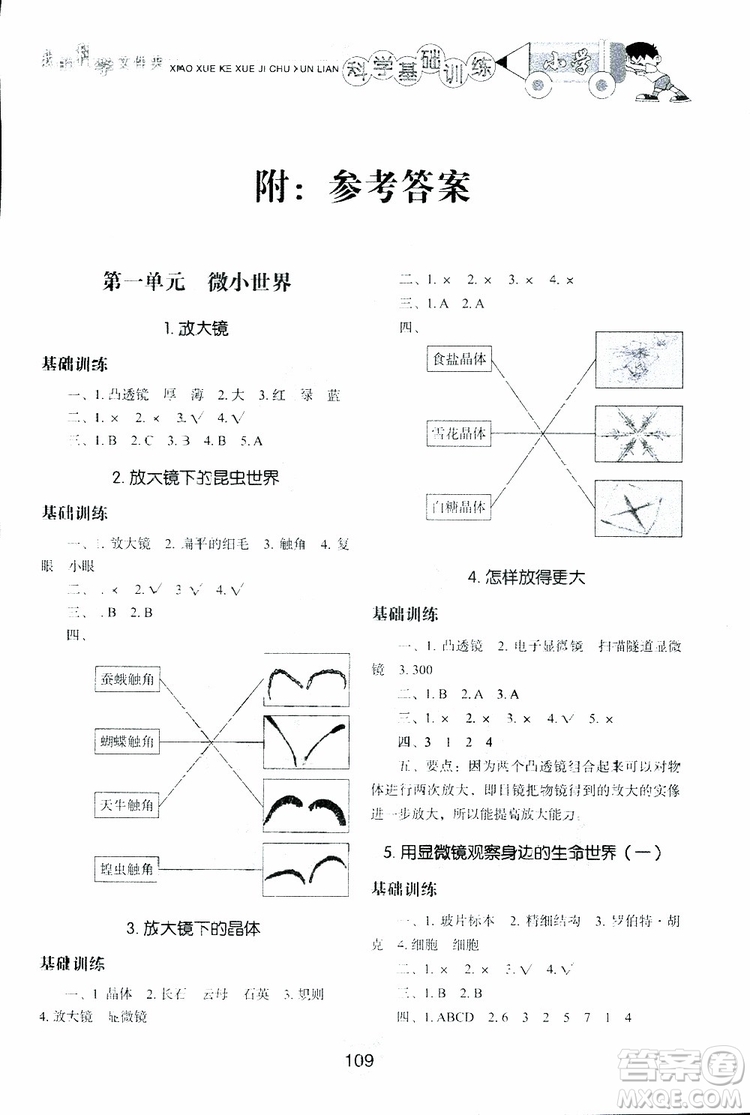2019年小學(xué)基礎(chǔ)訓(xùn)練科學(xué)六年級(jí)下冊(cè)教科版參考答案