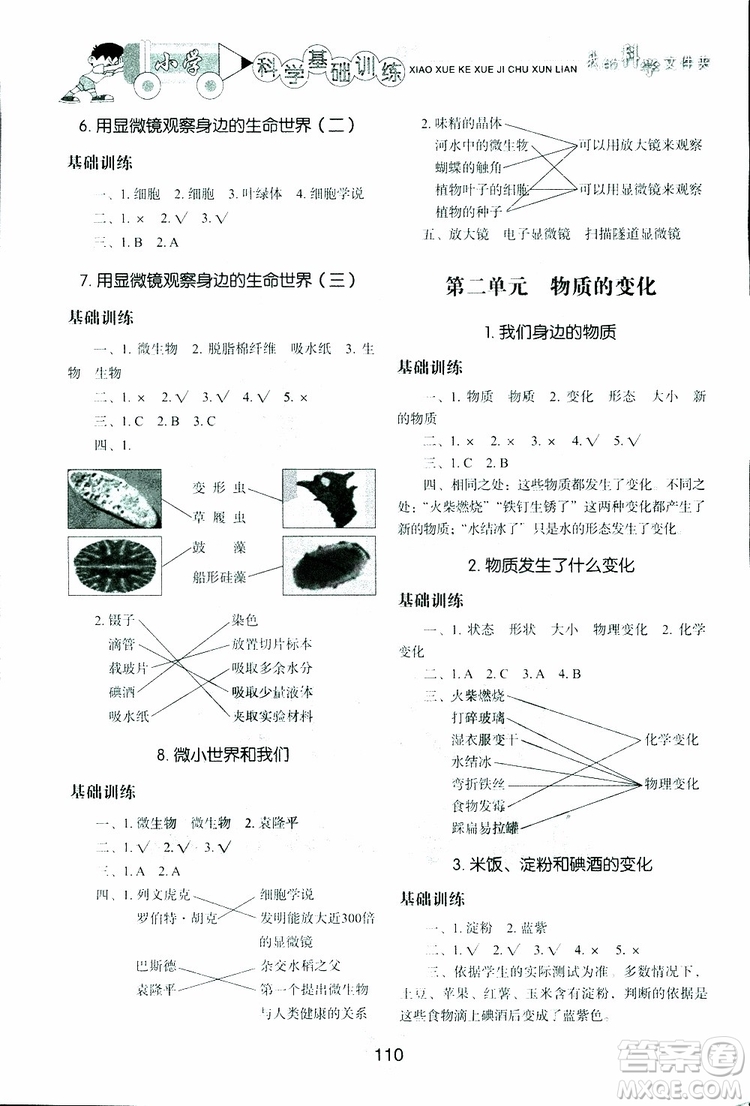 2019年小學(xué)基礎(chǔ)訓(xùn)練科學(xué)六年級(jí)下冊(cè)教科版參考答案