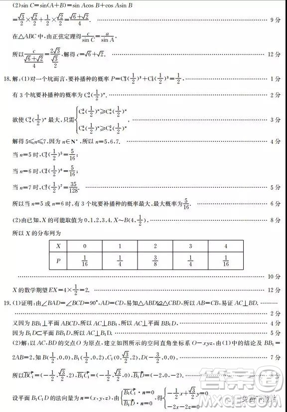 2019年河北省高三階段性調研考試理數(shù)試題及參考答案