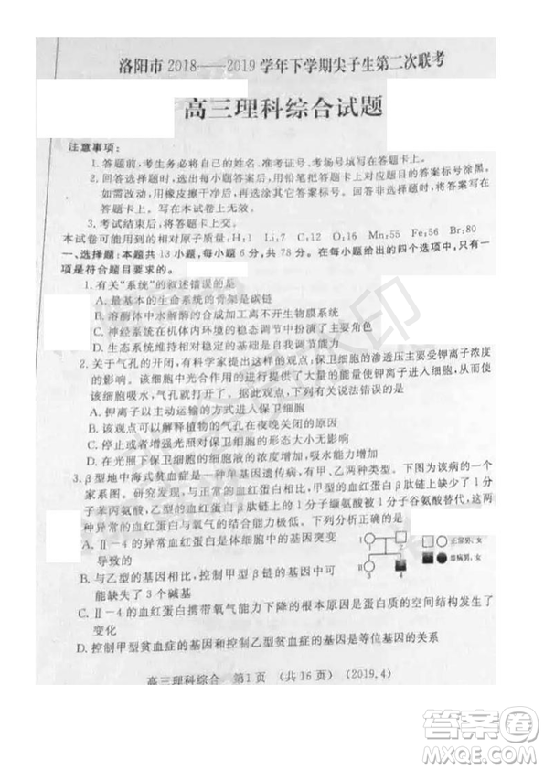 2019年洛陽(yáng)市高三下學(xué)期尖子生第二次聯(lián)考文理綜試題及答案