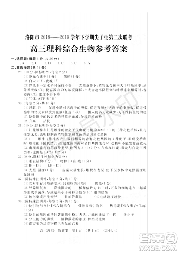2019年洛陽(yáng)市高三下學(xué)期尖子生第二次聯(lián)考文理綜試題及答案