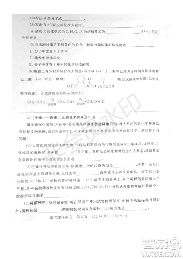 2019年洛陽(yáng)市高三下學(xué)期尖子生第二次聯(lián)考文理綜試題及答案
