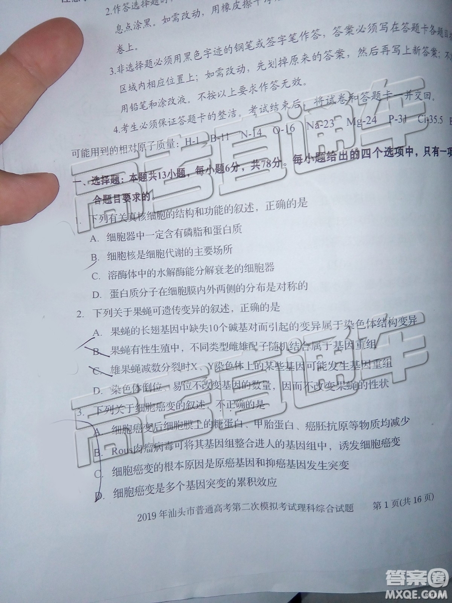 2019年汕頭二模理綜試題及參考答案