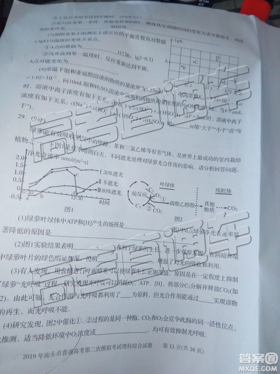2019年汕頭二模理綜試題及參考答案