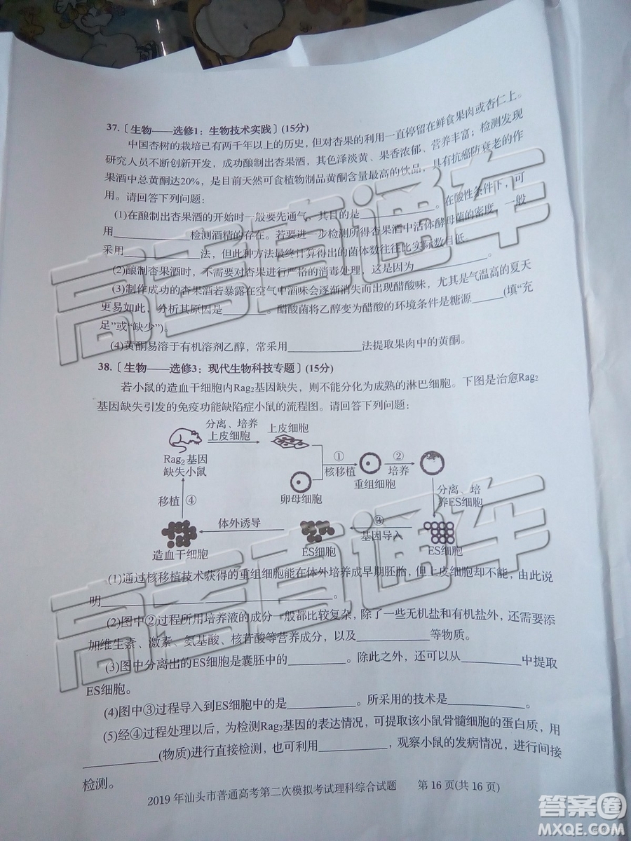 2019年汕頭二模理綜試題及參考答案