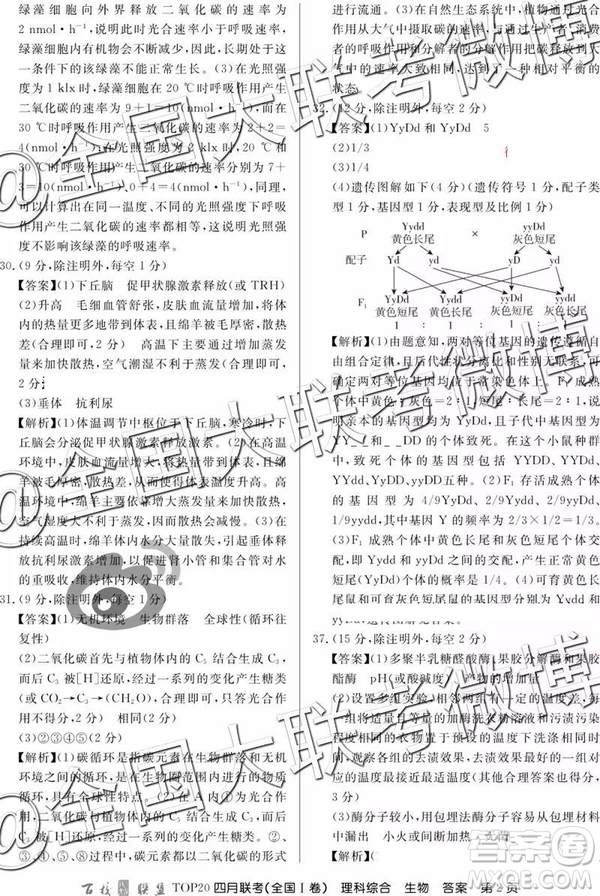 2019年百校聯(lián)盟TOP20四月聯(lián)考全國(guó)Ⅰ卷文理綜參考答案