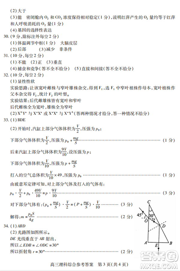2019年運城市高三高考適應性測試文理綜試卷及答案