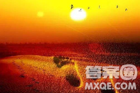 道雖邇不行不至事雖小不為作文800字 關(guān)于道雖邇不行不至事雖小不為不成作文