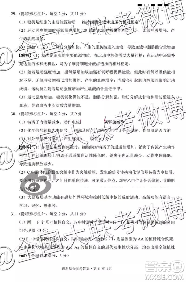 貴陽(yáng)第一中學(xué)2019屆高考適應(yīng)性月考卷七文理綜參考答案