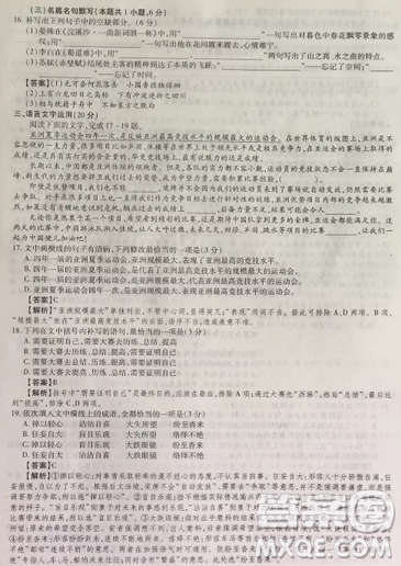 2019年普通高等學(xué)校招生全國(guó)統(tǒng)一考試高考仿真模擬信息卷押題卷十一語(yǔ)文試題及答案