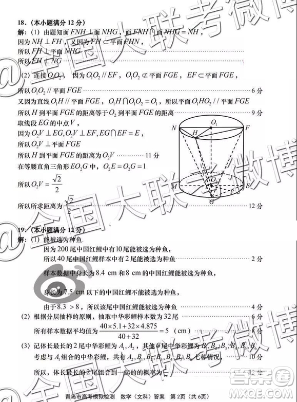2019年青島二模文理數(shù)參考答案