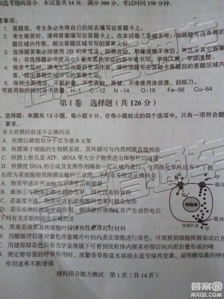 2019年漳州三檢、龍巖二檢理綜試題及參考答案