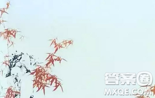 漢語言文學(xué)專業(yè)主要學(xué)習(xí)哪些課程 漢語言文學(xué)專業(yè)課難不難