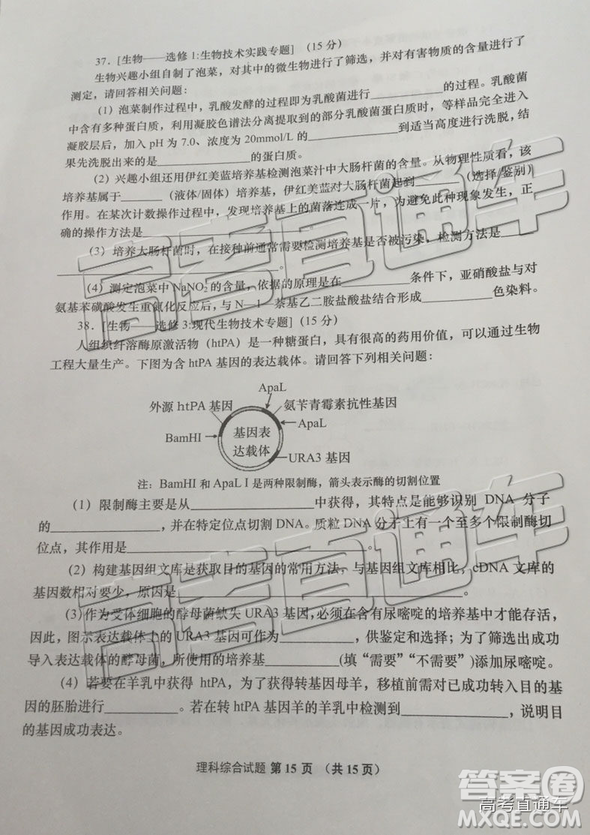 2019年青島二模理綜試題及參考答案