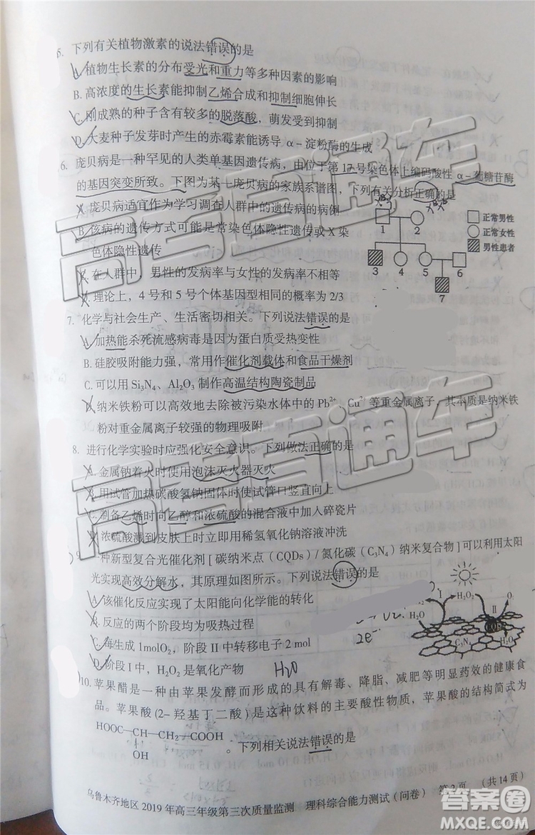 2019年烏魯木齊三模文理綜試題及參考答案