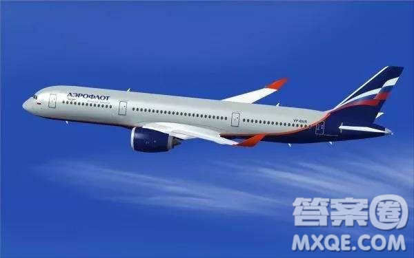 關于俄航客機迫降起火事故作文 關于俄航客機迫降起火乘客和空姐的行為思考議論文