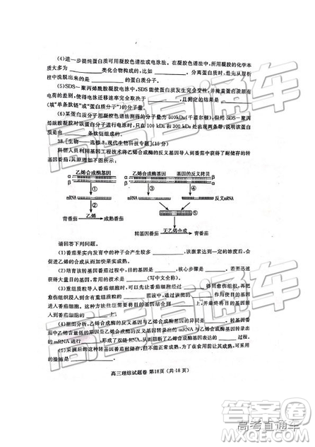 2019年河南高三第三次質(zhì)量預(yù)測(cè)文理綜試題及參考答案