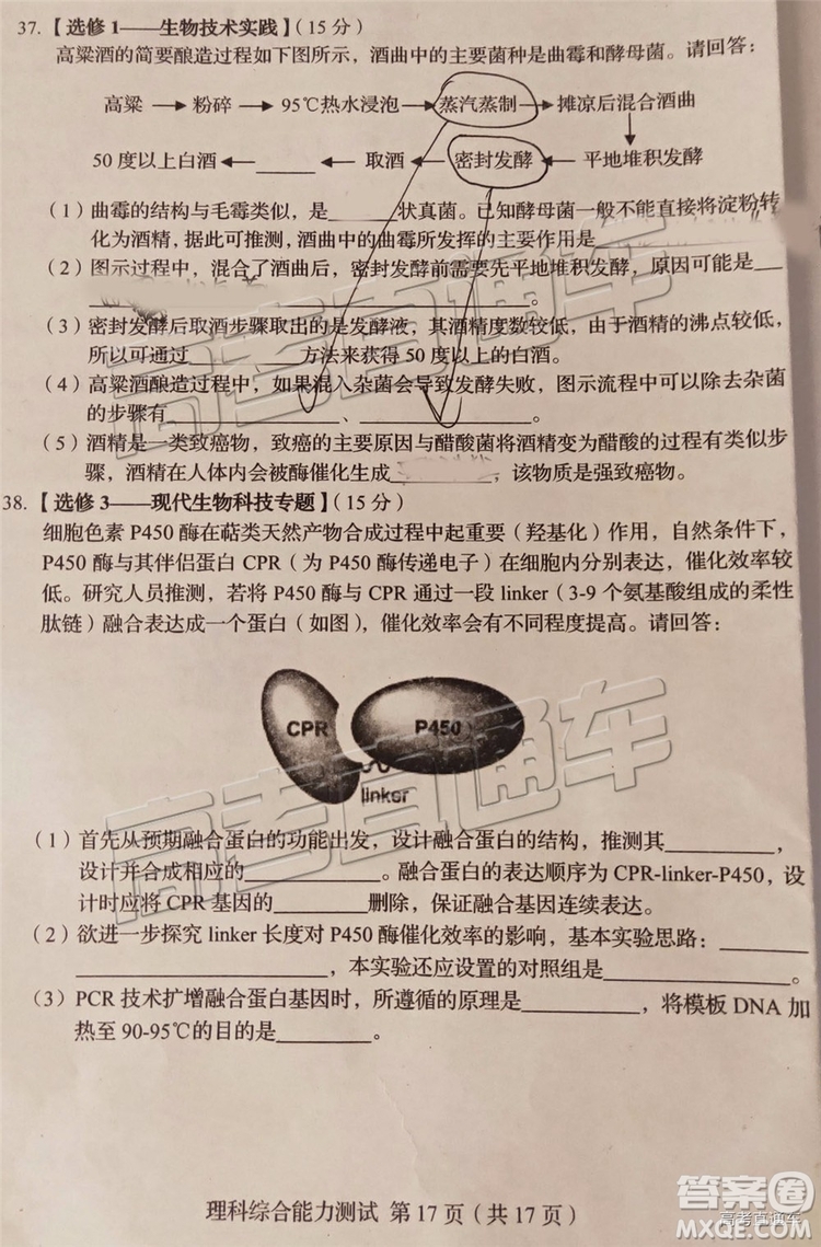 2019年長春四模文理綜試題及參考答案