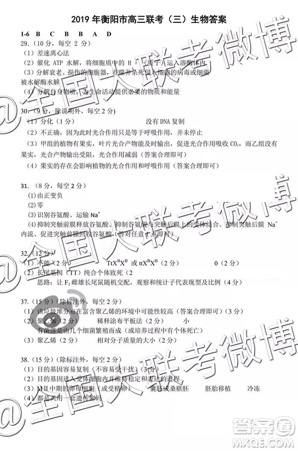 2019年衡陽三模文理綜參考答案