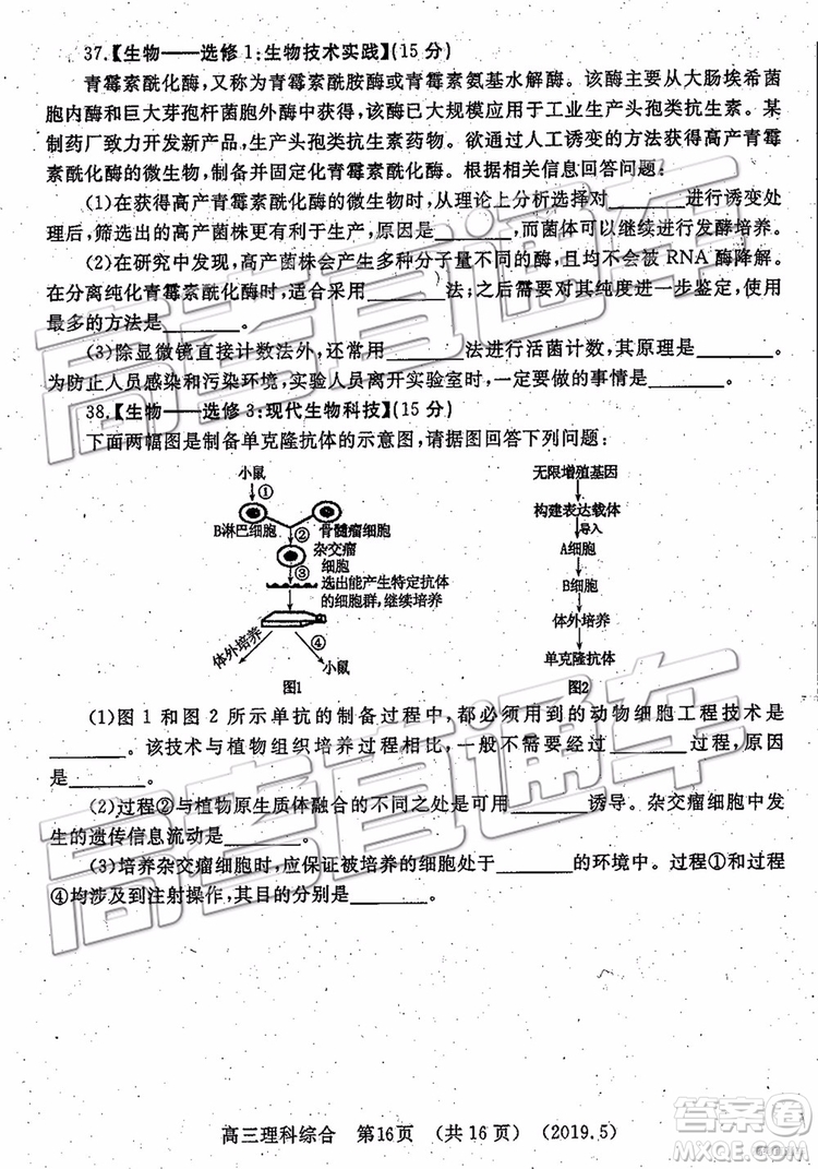 2019年洛陽三統(tǒng)文理綜試題及參考答案