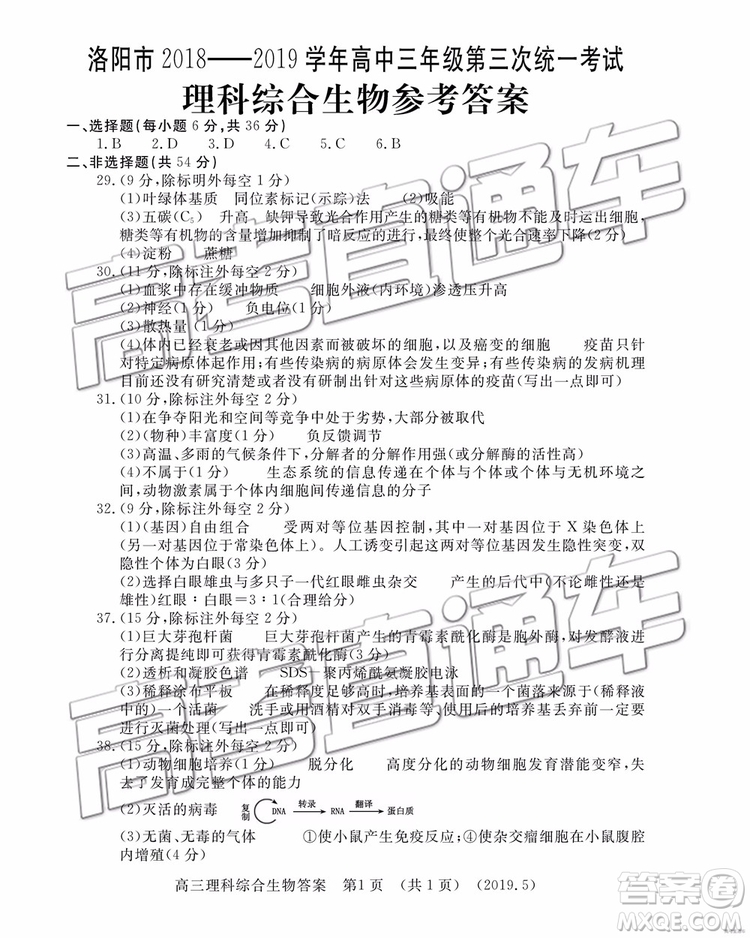 2019年洛陽三統(tǒng)文理綜試題及參考答案