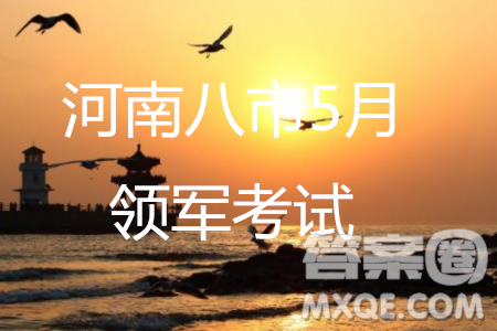 河南省八市重點(diǎn)高中聯(lián)盟2019屆高三5月領(lǐng)軍考試語(yǔ)文試題及答案
