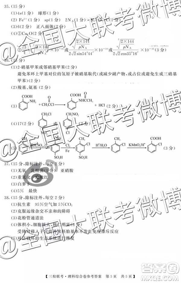湖北省荊州中學(xué)宜昌一中龍泉中學(xué)2019屆高三5月聯(lián)考文理綜參考答案