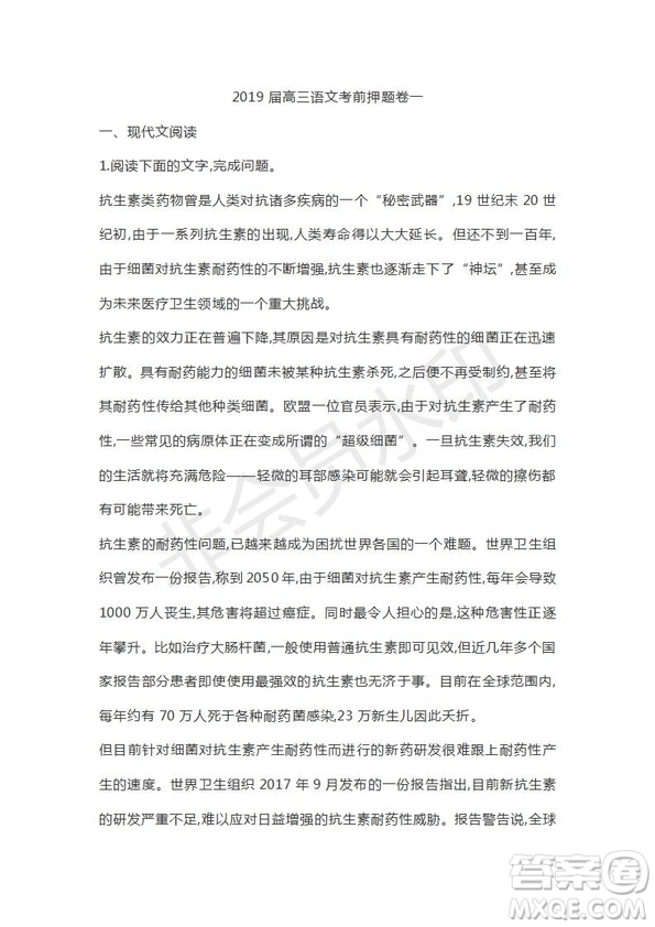 山東省濟寧北大培文學(xué)校2019屆高三語文考前押題卷1試卷及答案