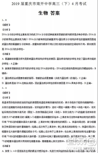 2019年重慶市南開中學(xué)高三下學(xué)期4月考試生物答案