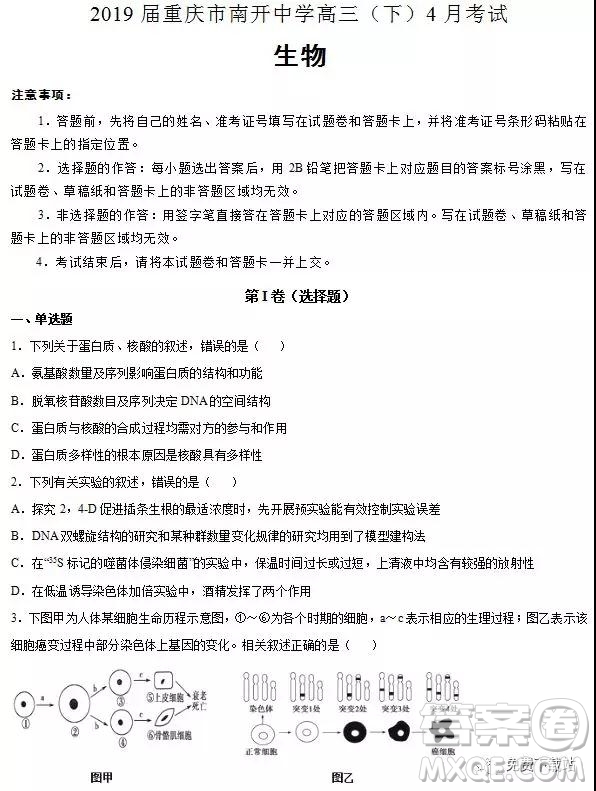 2019年重慶市南開中學(xué)高三下學(xué)期4月考試生物答案