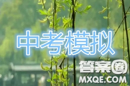 2019年上海浦東新區(qū)初三二模物理試題及參考答案