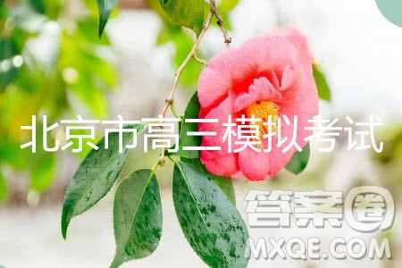 北京市2019年昌平區(qū)高三二模英語(yǔ)試卷及答案