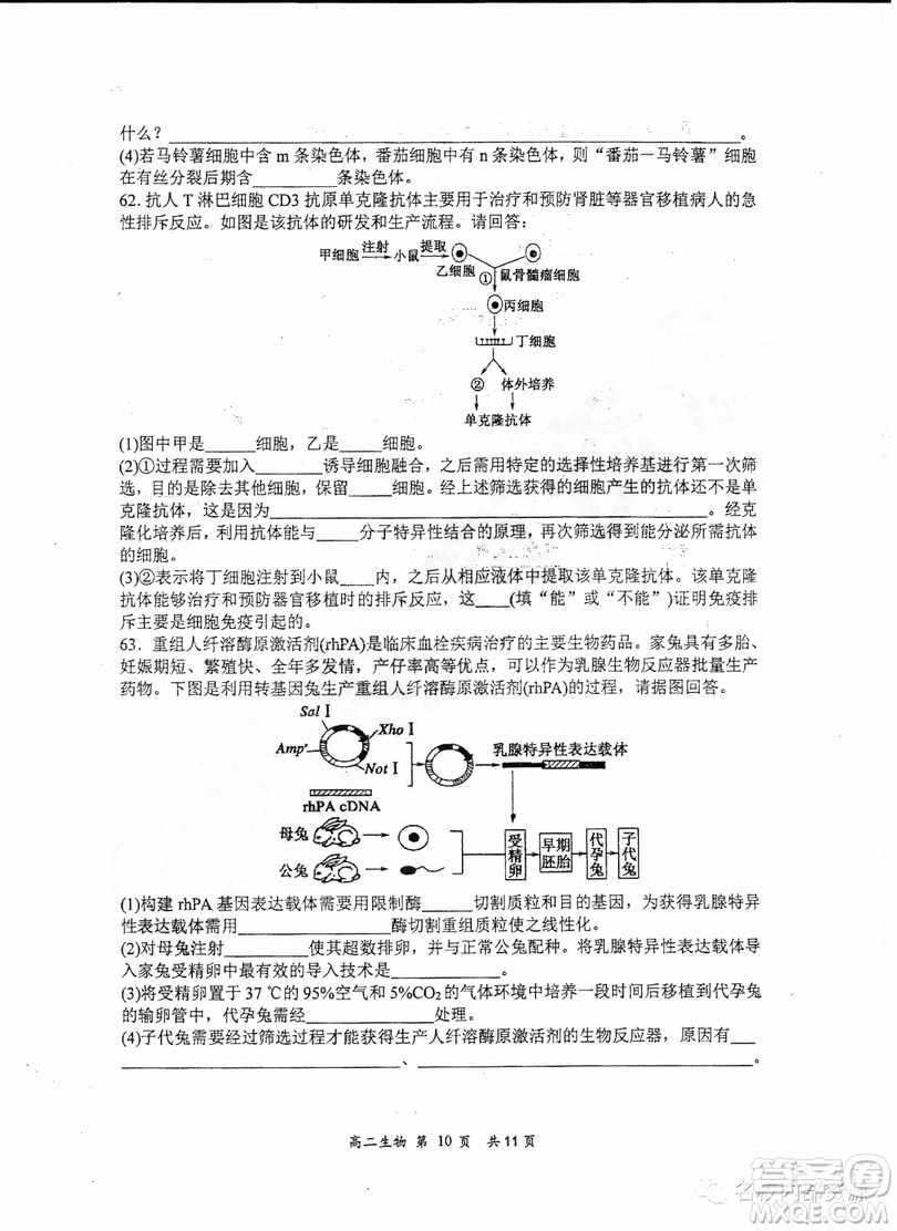 哈三中2018-2019學(xué)年度高二下學(xué)期第一學(xué)段考試?yán)砭C試卷及答案