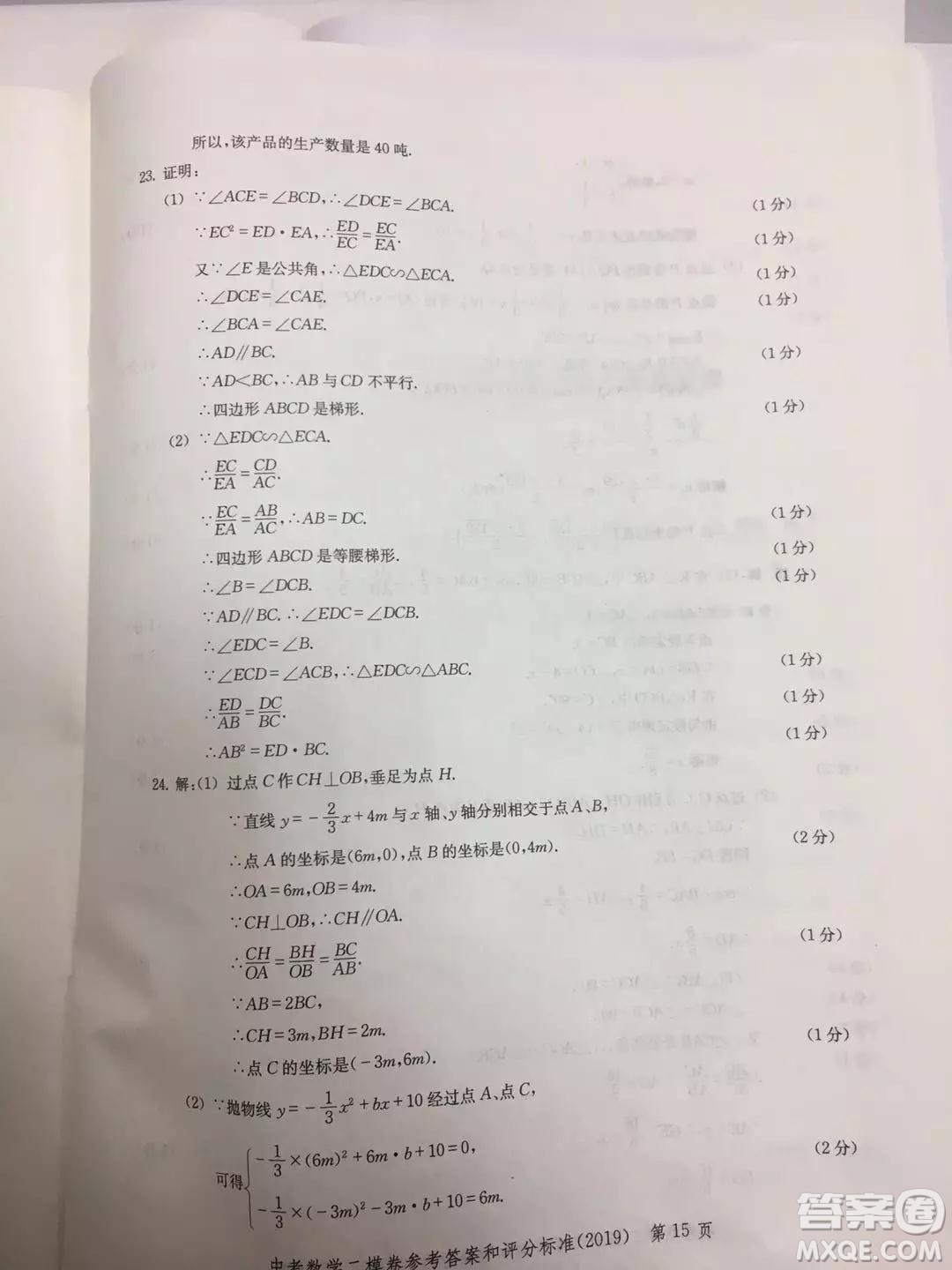 上海市2019年普陀區(qū)初三二模數(shù)學(xué)試題及參考答案