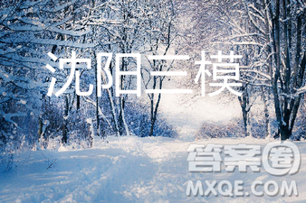 2019年沈陽(yáng)三模文理數(shù)試題及參考答案