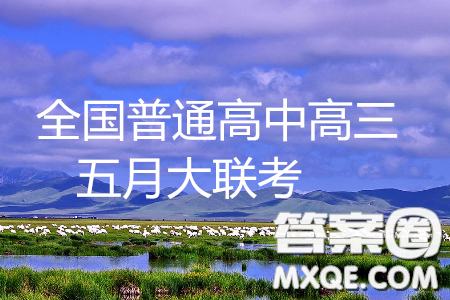 2019年全國(guó)普通高中高三五月大聯(lián)考語(yǔ)文參考答案