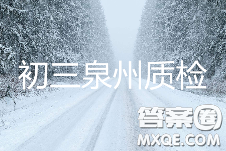 2019年泉州市初中畢業(yè)班學(xué)業(yè)質(zhì)量檢測化學(xué)試題及答案