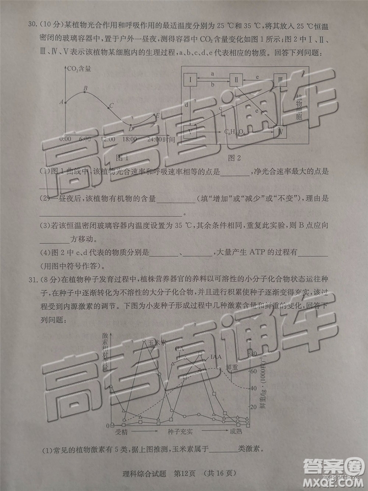 2019年濟(jì)南二模文理綜試題及參考答案
