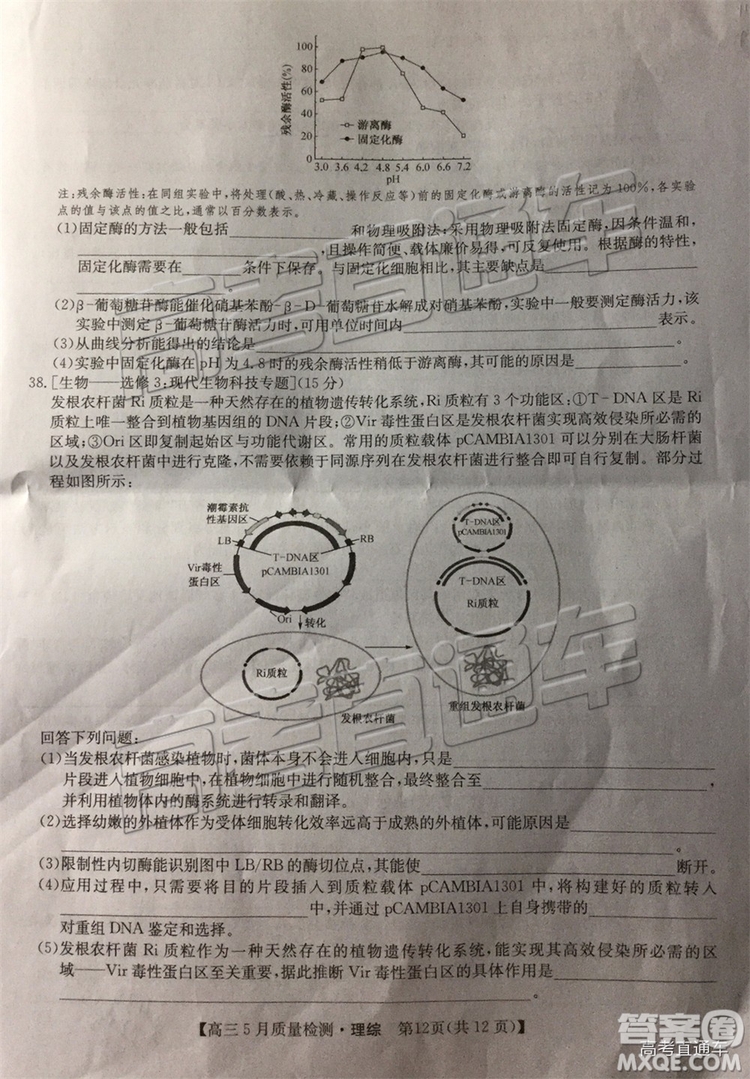 2019九師聯(lián)盟5月質(zhì)檢文理綜試題及參考答案