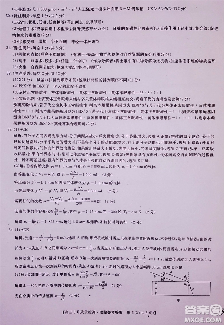 2019九師聯(lián)盟5月質(zhì)檢文理綜試題及參考答案