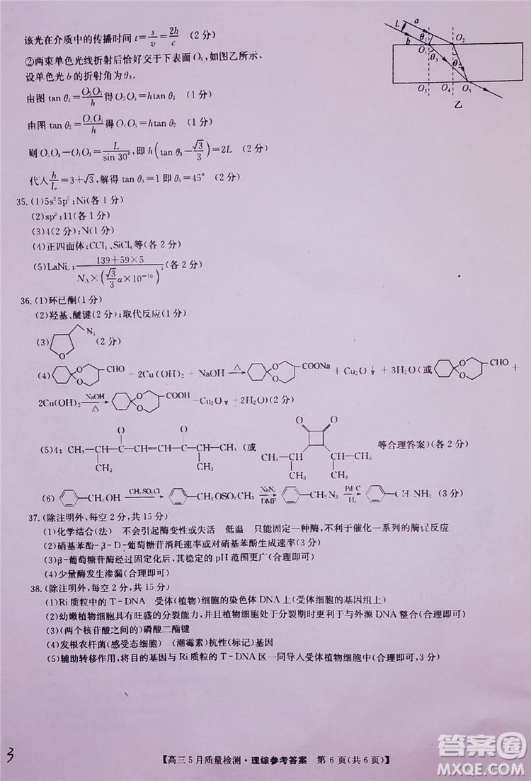 2019九師聯(lián)盟5月質(zhì)檢文理綜試題及參考答案