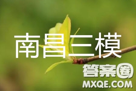 2019年南昌三模理科數(shù)學試題及參考答案
