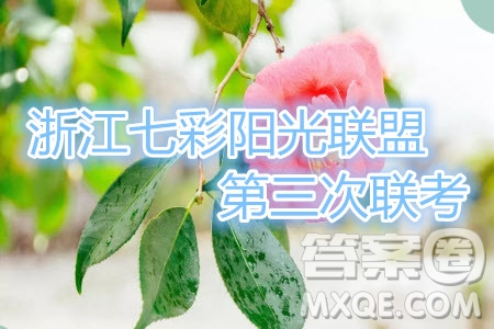 22019年浙江七彩陽(yáng)光聯(lián)盟第三次聯(lián)考英語(yǔ)試題及參考答案