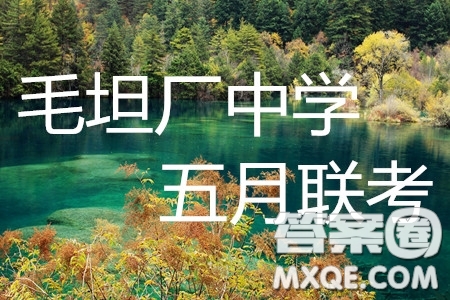 2019年安徽毛坦廠中學高三五月聯考文理數試題及答案