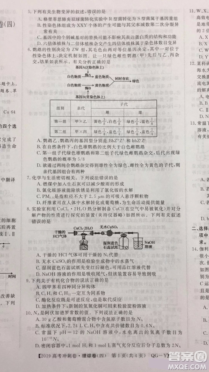2019年普通高等學(xué)校招生全國統(tǒng)一考試沖刺預(yù)測(cè)卷四理科綜合試題及答案