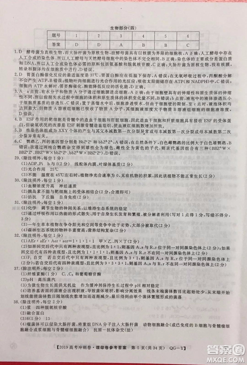 2019年普通高等學(xué)校招生全國統(tǒng)一考試沖刺預(yù)測(cè)卷四理科綜合試題及答案