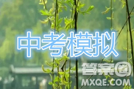 2019年天津市南開區(qū)初三二?；瘜W(xué)試題及答案