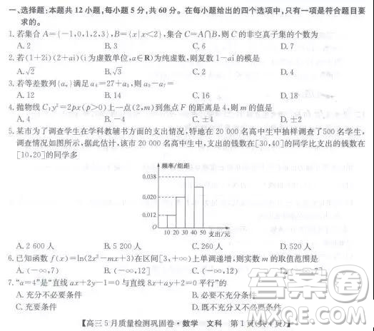 2019年九師聯(lián)盟高三5月質(zhì)量檢測鞏固卷文數(shù)試題及答案