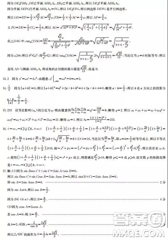 2019年九師聯(lián)盟高三5月質(zhì)量檢測鞏固卷文數(shù)試題及答案
