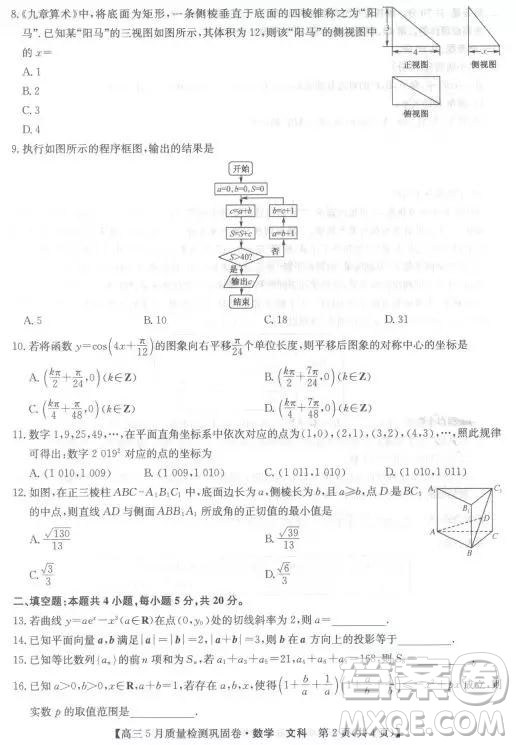 2019年九師聯(lián)盟高三5月質(zhì)量檢測鞏固卷文數(shù)試題及答案